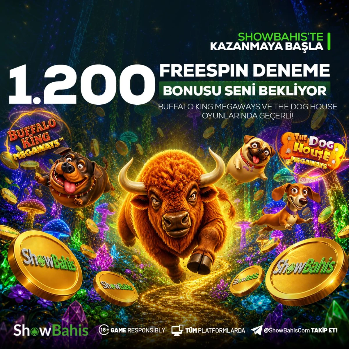 1200 FREESPIN DENEME BONUSU