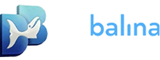Betbalina Giriş